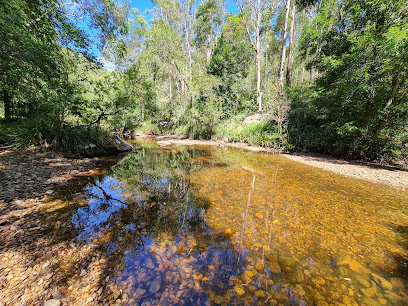Gheerulla camping area, Mapleton National Park