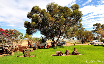 Curtin Springs Station