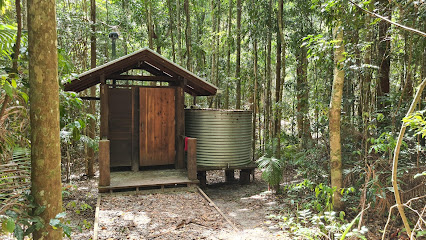 Kauri Walkers Camp