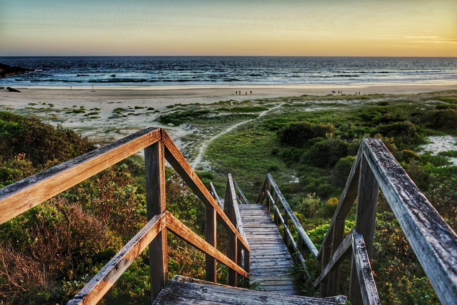 Treachery Camp Seal Rocks