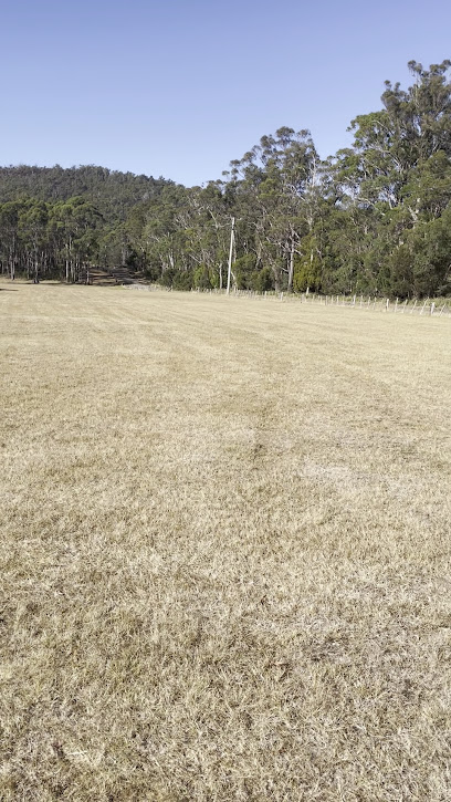 Mike & Annie’s front paddock