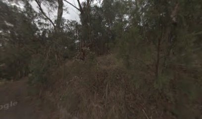 Burnet Park