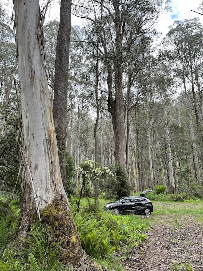 Queensborough River Campground