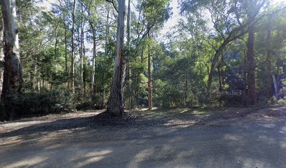 Alby Foster Camp Area
