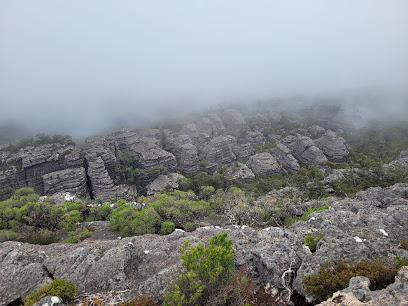 Mount Thackeray Bush Camp