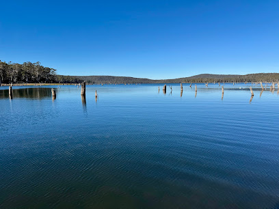 Lake Leake Camp Area