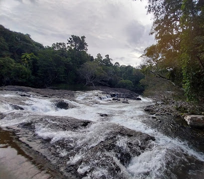 Mulgrave River (Goldfield trail) camping area