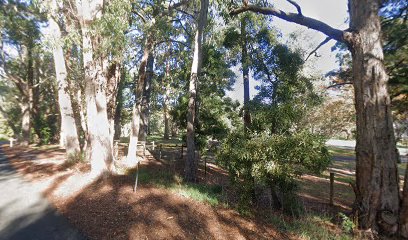 Brownsea Basecamp - Woodhouse Adventure Park
