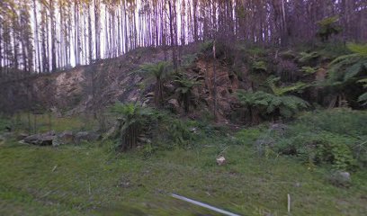 Cliffview