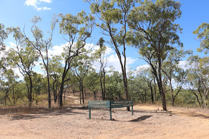 North Palmer River camping area