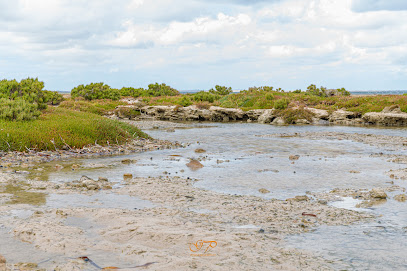 Port Minlacowie - Bush Campground