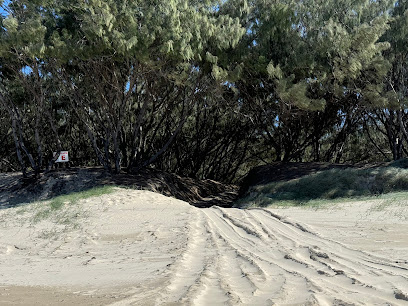 Minjerribah Camping - campground Track E