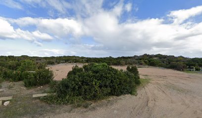 Mozzie Flat - Bush campground