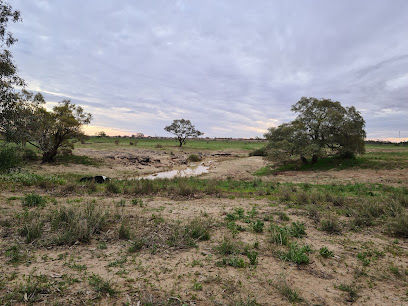 Diamantina River Bushcamp