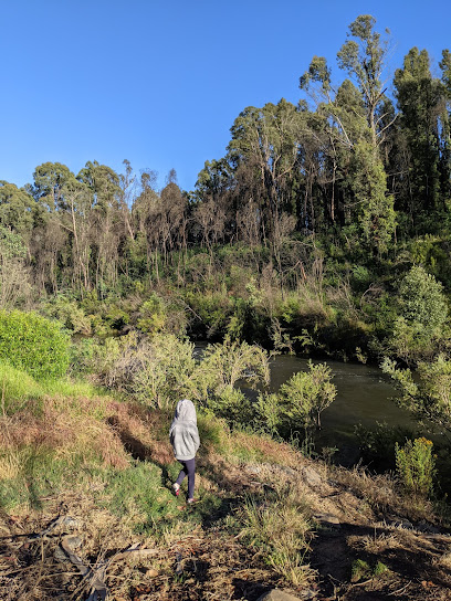 Tea Tree Campgrounds