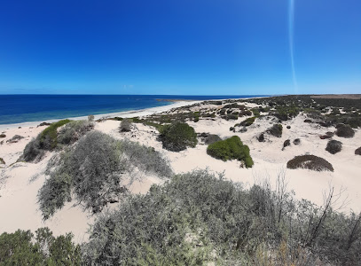 The Bamboos - Bush campground
