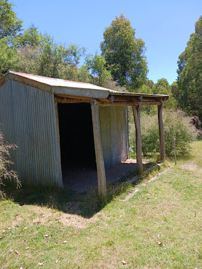 Geehi horse camp