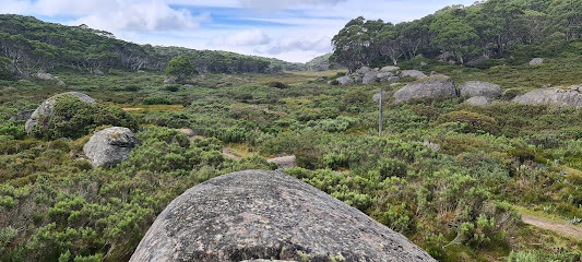 Camp Saddle
