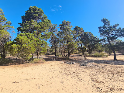 Blue Gums Camping Area