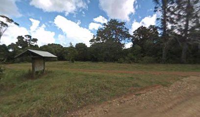 Old Forestry camping area