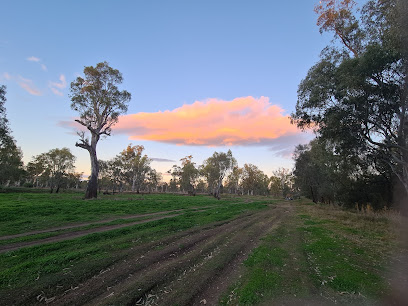 Track Beside Namoi River