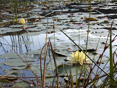 Brooklyn Dam North East campsite