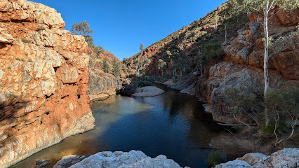 Fringe Lily Creek campsite