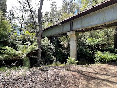 Lilydale Campsite