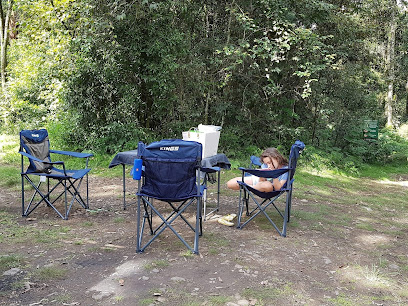 Old Camp