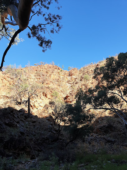 Weetootla Campground