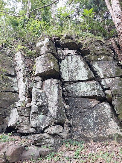 Andrew Drynan Park campground