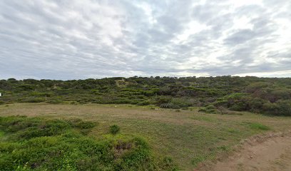 Swincer Rocks - Bush campground