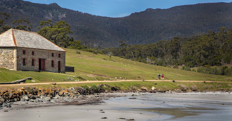 Maria Island campground