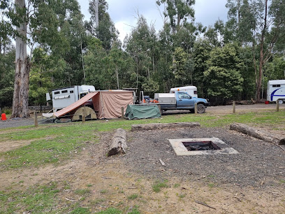 Number One Camp