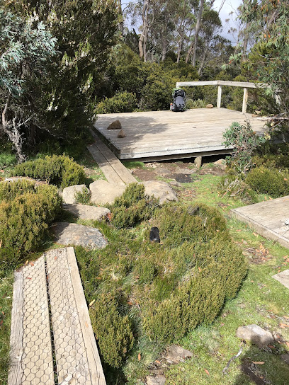 Wild Dog Creek campsite