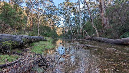 Ambler Lane campground