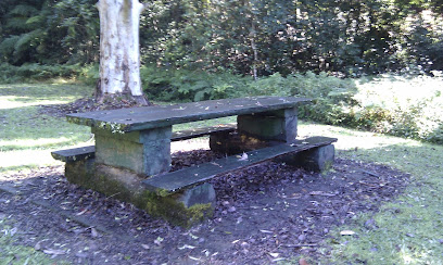 Frying Pan Campground