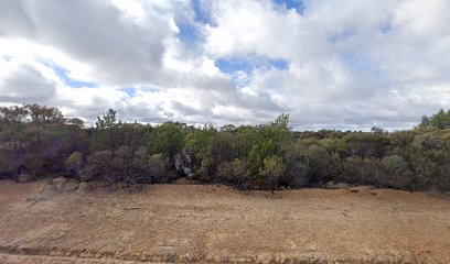 Dirt Pit Camping Area