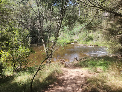 Big River Pines Camping Area