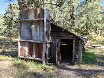 Bindaree Hut camping area