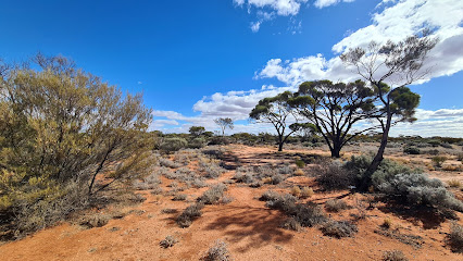 Mount Vivian rest area