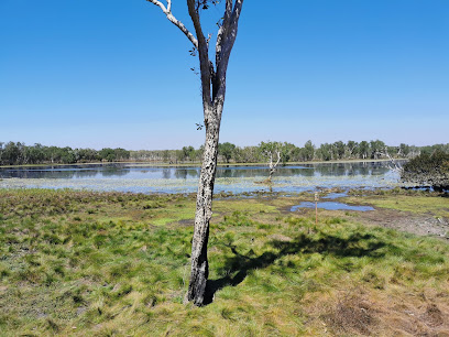 Sandy Billabong (Djirrilba) Campground