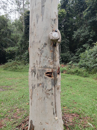 Telegherry Campground