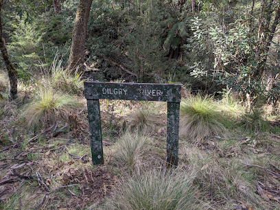 Dilgry River Camping Area