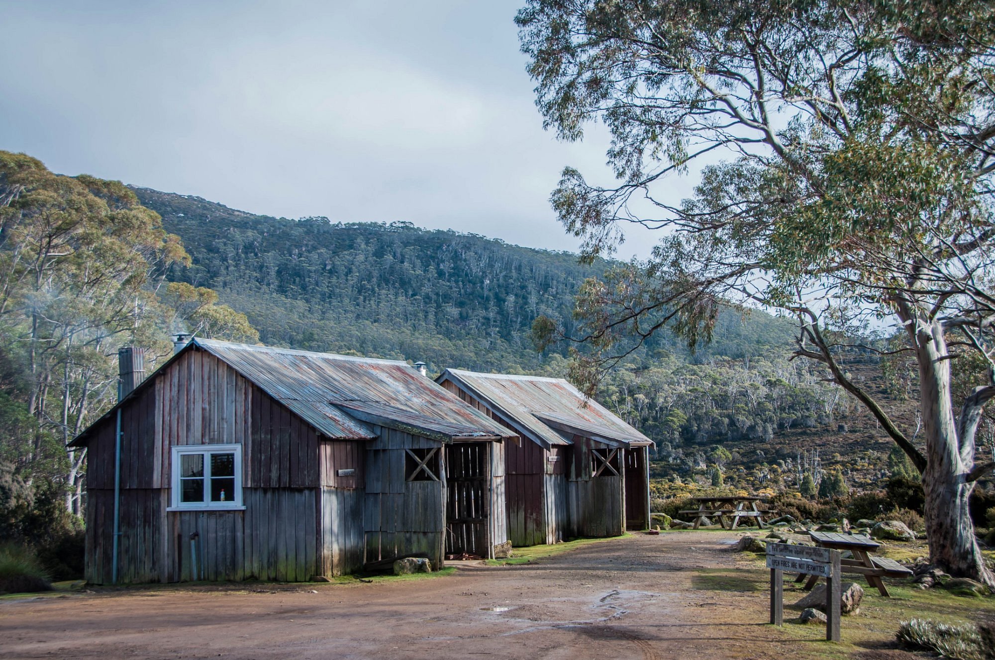 Mount Field campground