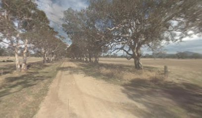 Blue Ranges campsite