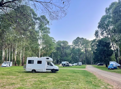 Ah Youngs Campsite
