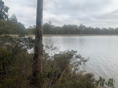 Lake Binny corner camp ground