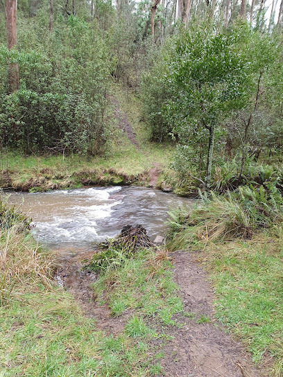 Buttercup 3 Campground