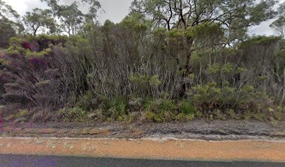 South Western Hwy rest area